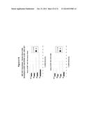 METHODS AND COMPOSITIONS FOR THE SPECIFIC INHIBITION OF MET BY DOUBLE     STRANDED RNA diagram and image