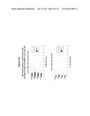 METHODS AND COMPOSITIONS FOR THE SPECIFIC INHIBITION OF MET BY DOUBLE     STRANDED RNA diagram and image