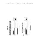 METHODS AND COMPOSITIONS FOR THE SPECIFIC INHIBITION OF MET BY DOUBLE     STRANDED RNA diagram and image