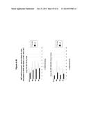 METHODS AND COMPOSITIONS FOR THE SPECIFIC INHIBITION OF MET BY DOUBLE     STRANDED RNA diagram and image