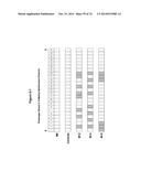 METHODS AND COMPOSITIONS FOR THE SPECIFIC INHIBITION OF MET BY DOUBLE     STRANDED RNA diagram and image