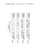 METHODS AND COMPOSITIONS FOR THE SPECIFIC INHIBITION OF MET BY DOUBLE     STRANDED RNA diagram and image