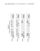 METHODS AND COMPOSITIONS FOR THE SPECIFIC INHIBITION OF MET BY DOUBLE     STRANDED RNA diagram and image