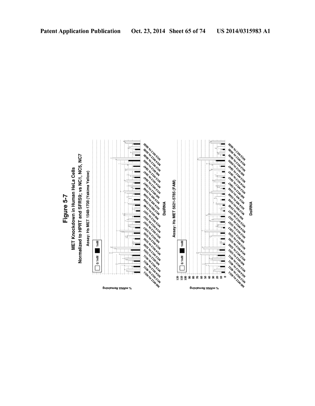 METHODS AND COMPOSITIONS FOR THE SPECIFIC INHIBITION OF MET BY DOUBLE     STRANDED RNA - diagram, schematic, and image 66