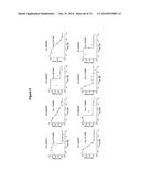 METHODS AND COMPOSITIONS FOR THE SPECIFIC INHIBITION OF MET BY DOUBLE     STRANDED RNA diagram and image