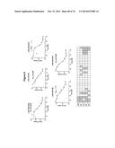 METHODS AND COMPOSITIONS FOR THE SPECIFIC INHIBITION OF MET BY DOUBLE     STRANDED RNA diagram and image