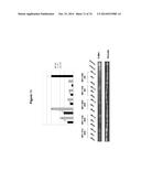 METHODS AND COMPOSITIONS FOR THE SPECIFIC INHIBITION OF MET BY DOUBLE     STRANDED RNA diagram and image