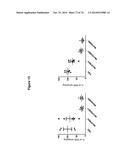 METHODS AND COMPOSITIONS FOR THE SPECIFIC INHIBITION OF MET BY DOUBLE     STRANDED RNA diagram and image