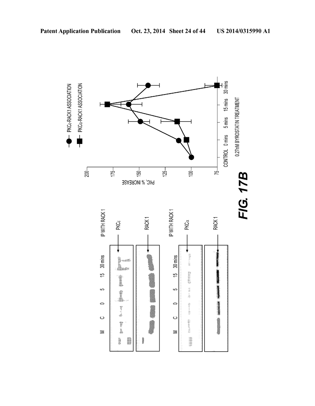 PKC ACTIVATORS AND COMBINATIONS THEREOF - diagram, schematic, and image 25