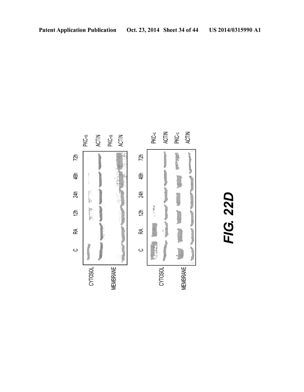 PKC ACTIVATORS AND COMBINATIONS THEREOF - diagram, schematic, and image 35