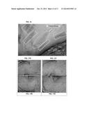 COMPOSITION FOR TREATMENT OF EPITHELIAL TISSUE diagram and image