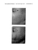 COMPOSITION FOR TREATMENT OF EPITHELIAL TISSUE diagram and image