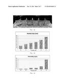 AQUEOUS DISPERSIBLE POLYMER COMPOSITION diagram and image