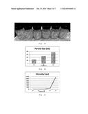 AQUEOUS DISPERSIBLE POLYMER COMPOSITION diagram and image