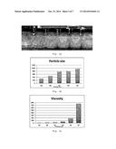 AQUEOUS DISPERSIBLE POLYMER COMPOSITION diagram and image