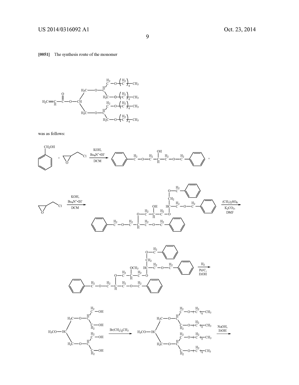 AMPHIPHILIC MACROMOLECULE AND USE THEREOF - diagram, schematic, and image 11