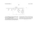 AMPHIPHILIC MACROMOLECULE AND USE THEREOF diagram and image