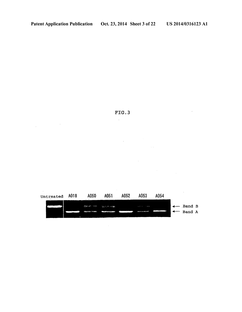 ENA NUCLEIC ACID PHARMACEUTICALS CAPABLE OF MODIFYING SPLICING OF mRNA     PRECURSORS - diagram, schematic, and image 04