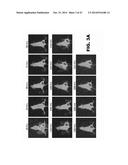 ANTIBODIES TO TIP-1 AND GRP78 diagram and image