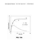 ANTIBODIES TO TIP-1 AND GRP78 diagram and image