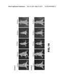 ANTIBODIES TO TIP-1 AND GRP78 diagram and image