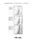 ANTIBODIES TO TIP-1 AND GRP78 diagram and image