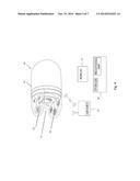 IN-VIVO DEVICE, SYSTEM AND METHOD FOR DETECTION OF HELICOBACTER PYLORI diagram and image