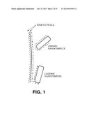 METHOD FOR ENHANCED PHOTOEPILATION BASED ON METALLIC NANO-COMPLEXES diagram and image