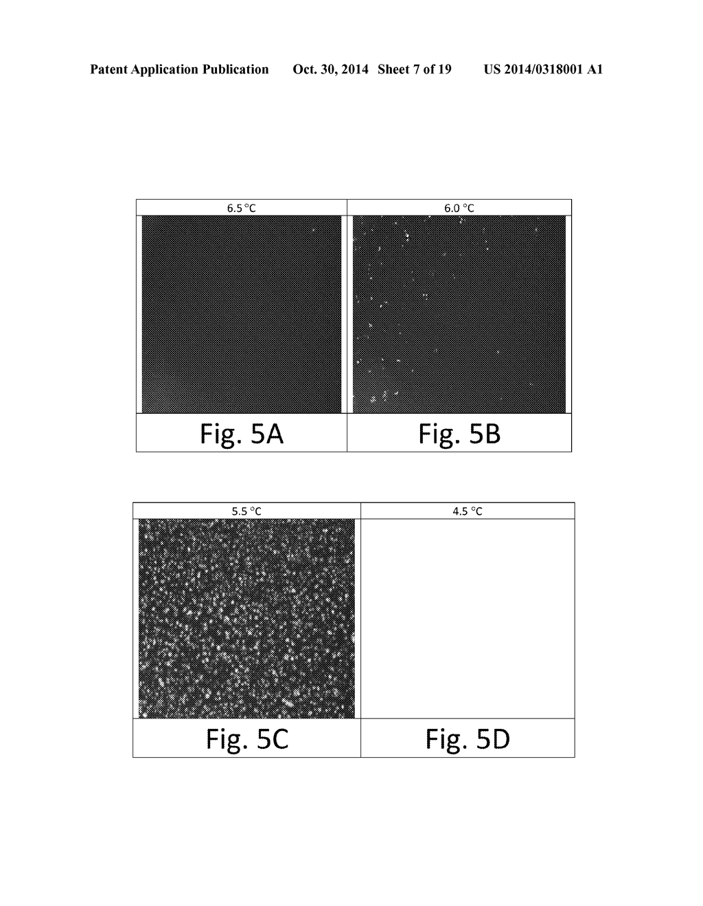 POLYMORPHISM AND MICROSTRUCTURE OF CERTAIN TRIACYLGLYCEROLS AND FATTY ACID     METHYL ESTERS - diagram, schematic, and image 08