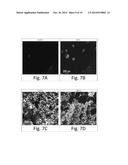 POLYMORPHISM AND MICROSTRUCTURE OF CERTAIN TRIACYLGLYCEROLS AND FATTY ACID     METHYL ESTERS diagram and image