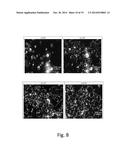 POLYMORPHISM AND MICROSTRUCTURE OF CERTAIN TRIACYLGLYCEROLS AND FATTY ACID     METHYL ESTERS diagram and image