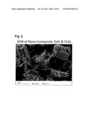 Fibrous Structured Amorphous Silica Including Precipitated Calcium     Carbonate, Compositions of Matter Made Therewith, and Methods of Use     Thereof diagram and image