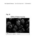 Fibrous Structured Amorphous Silica Including Precipitated Calcium     Carbonate, Compositions of Matter Made Therewith, and Methods of Use     Thereof diagram and image