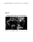 Fibrous Structured Amorphous Silica Including Precipitated Calcium     Carbonate, Compositions of Matter Made Therewith, and Methods of Use     Thereof diagram and image