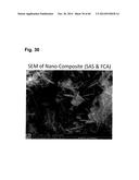 Fibrous Structured Amorphous Silica Including Precipitated Calcium     Carbonate, Compositions of Matter Made Therewith, and Methods of Use     Thereof diagram and image