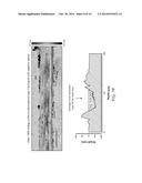 Wear-Resistant Nanocrystalline Hard Noble Metal Coating diagram and image