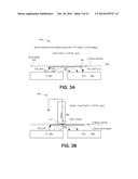 FIELD-LINE REPEATER (FLR) STRUCTURE OF A SENSE ARRAY diagram and image