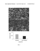 METHODS FOR DETECTION AND CHARACTERIZATION OF IONIZING RADIATION EXPOSURE     IN TISSUE diagram and image