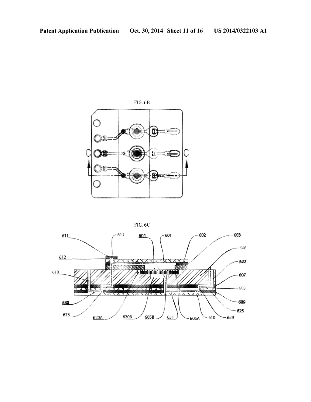 MULTISAMPLE BIONANOCHIP PLATFORM - diagram, schematic, and image 12