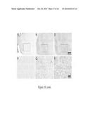 TSPO-TARGETING COMPOUNDS AND USES THEREOF diagram and image