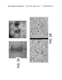 Detection Of Targeted Biological Substances Using Magnetic Relaxation Of     Individual Nanoparticles diagram and image