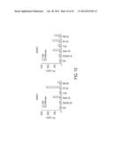 TARGETING CYTOTOXIC CELLS WITH CHIMERIC RECEPTORS FOR ADOPTIVE     IMMUNOTHERAPY diagram and image