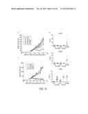 TARGETING CYTOTOXIC CELLS WITH CHIMERIC RECEPTORS FOR ADOPTIVE     IMMUNOTHERAPY diagram and image