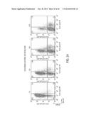 TARGETING CYTOTOXIC CELLS WITH CHIMERIC RECEPTORS FOR ADOPTIVE     IMMUNOTHERAPY diagram and image