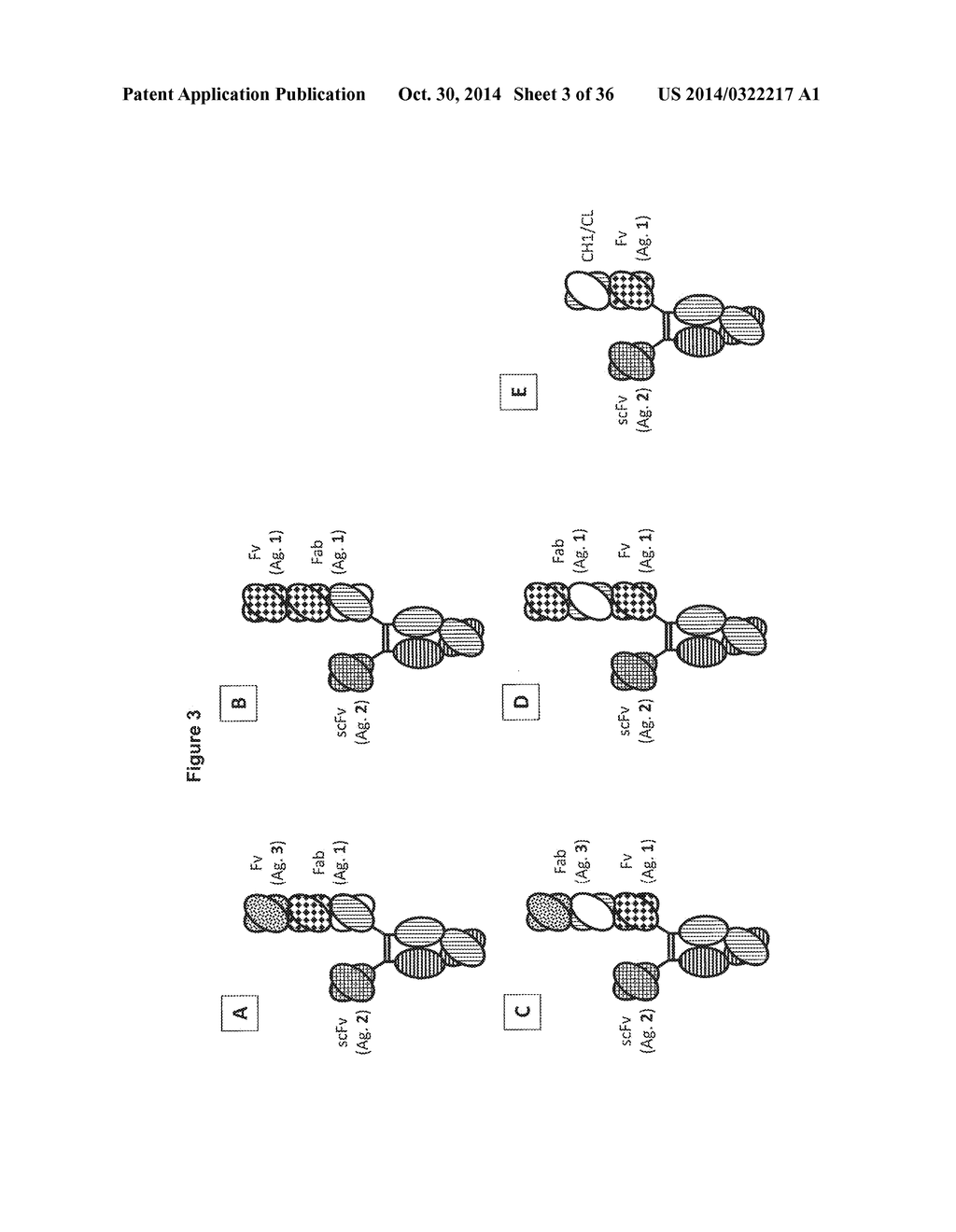 NOVEL HETERODIMERIC PROTEINS - diagram, schematic, and image 04