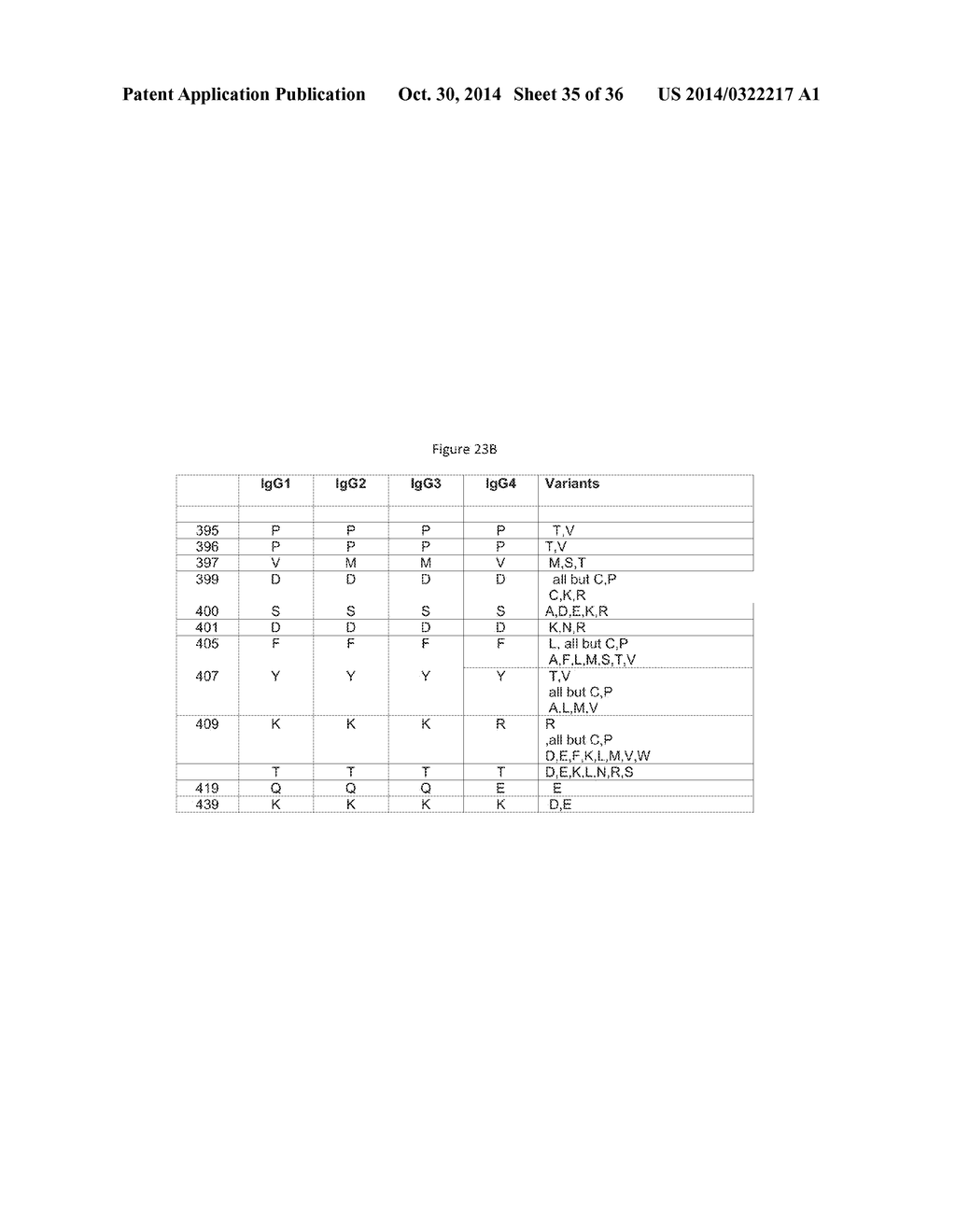 NOVEL HETERODIMERIC PROTEINS - diagram, schematic, and image 36