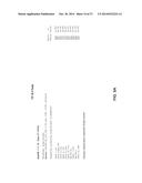 MONOCLONAL ANTIBODIES AGAINST SEROTRANSFERRIN ANTIGENS, AND USES THEREFOR diagram and image