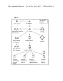 Anti-Adrenomedullin (ADM) antibody or anti-ADM antibody fragment or     anti-ADM non-Ig scaffold for use in therapy of an acute disease or acute     condition of a patient for stabilizing the circulation diagram and image