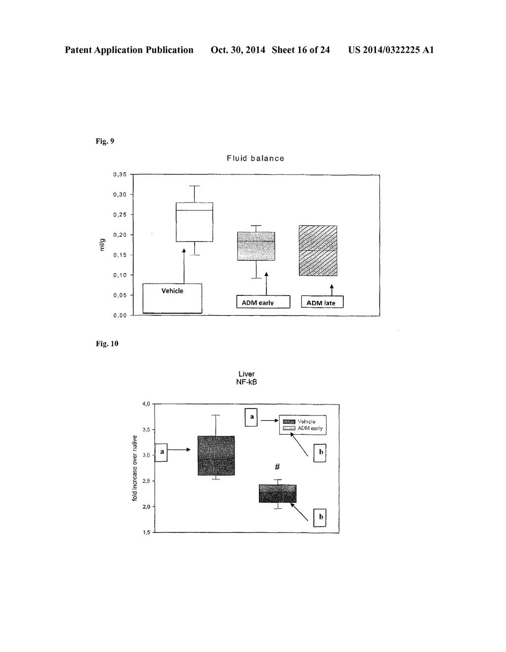 Anti-Adrenomedullin (ADM) antibody or anti-ADM antibody fragment or     anti-ADM non-Ig scaffold for use in therapy of an acute disease or acute     condition of a patient for stabilizing the circulation - diagram, schematic, and image 17