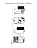 Analysis and Targeting of ROR2 in Cancer diagram and image